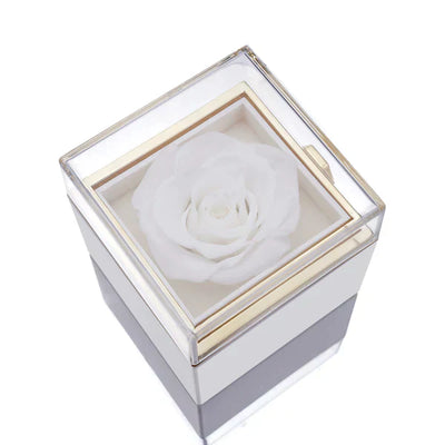 RoseEnigma™ | Secret Rose incl. Necklace Box