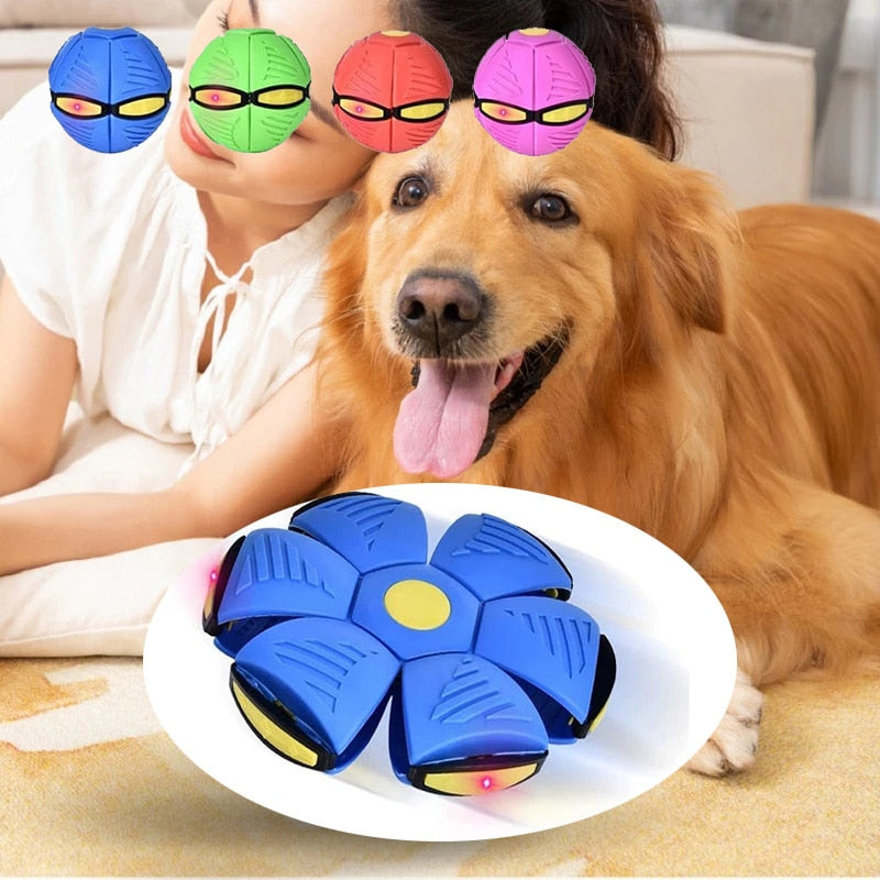 FetchFlyer™ | Interactive Dog Frisbee Ball | 1 +1 FREE 