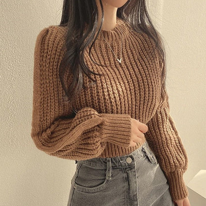 Lora Cropped Sweater | Loose &amp; Stylish