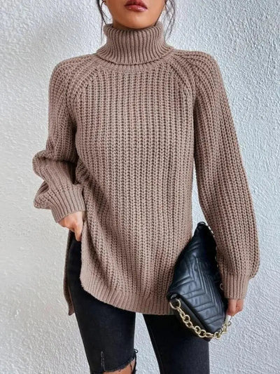 Elina™ | Elegant Roll Neck &amp; Knitted Sweater 