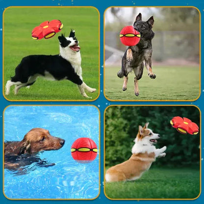 FetchFlyer™ | Interaktiver Hunde-Frisbee-Ball | 1 +1 KOSTENLOS 
