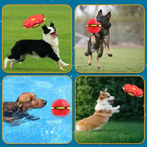 FetchFlyer™ | Interactive Dog Frisbee Ball | 1 +1 FREE 