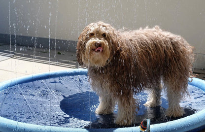 PupSplash™ | Dog play pool