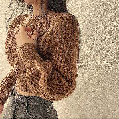 Lora Cropped Sweater | Loose &amp; Stylish