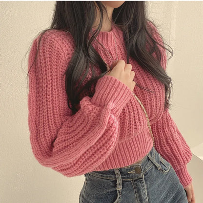 Lora Cropped Sweater | Loose &amp; Stylish