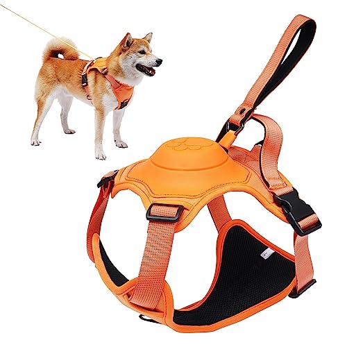 FlexiFit™ - Dog Harness &amp; Leash Set 