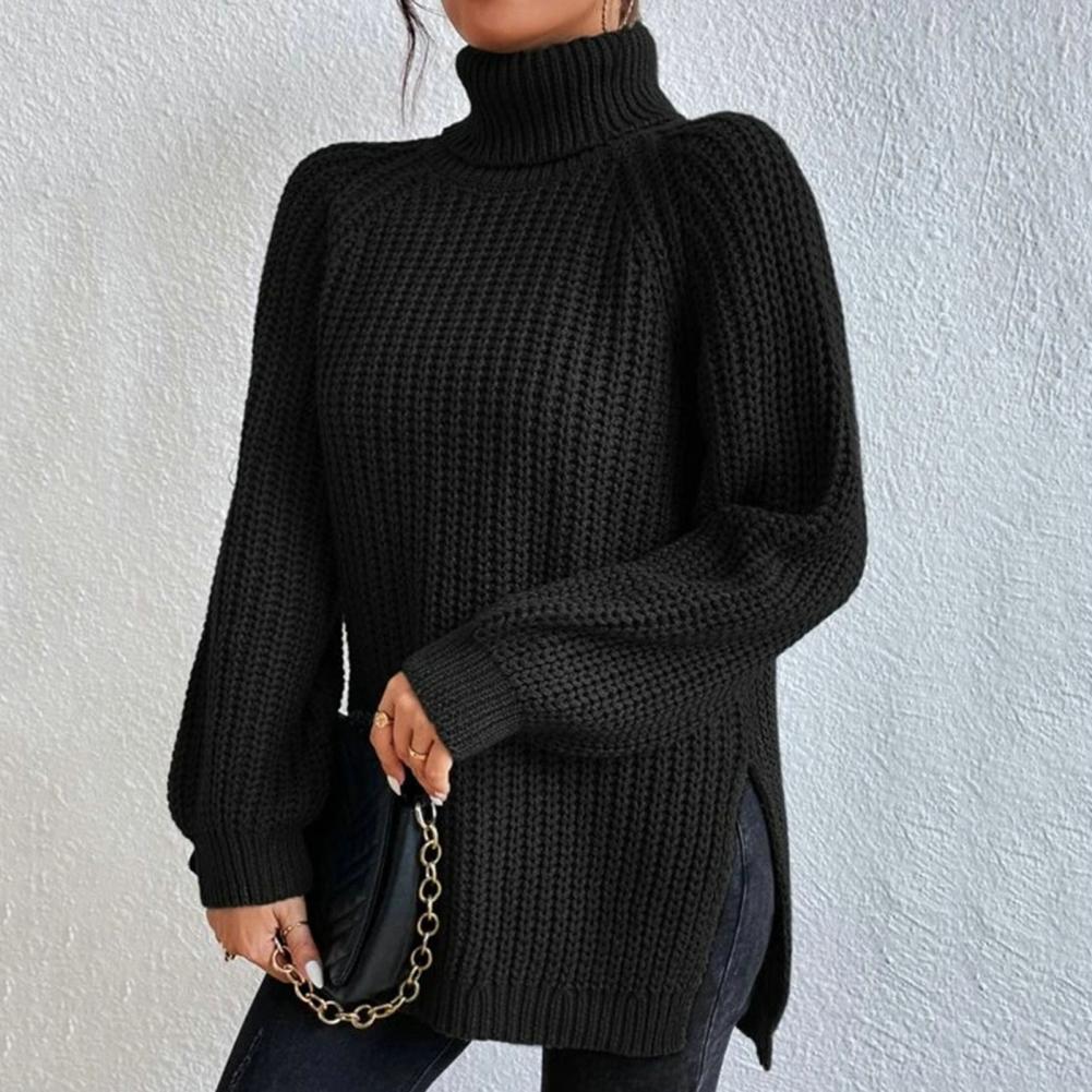 Elina™ | Elegant Roll Neck &amp; Knitted Sweater 