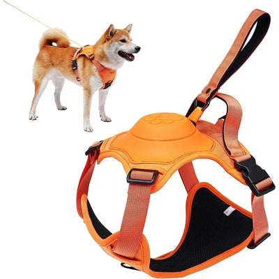 FlexiFit™ - Dog Harness &amp; Leash Set 