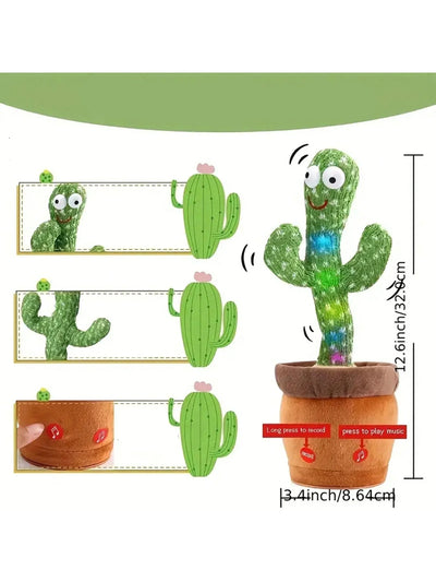 Kees | The little cactus friend 