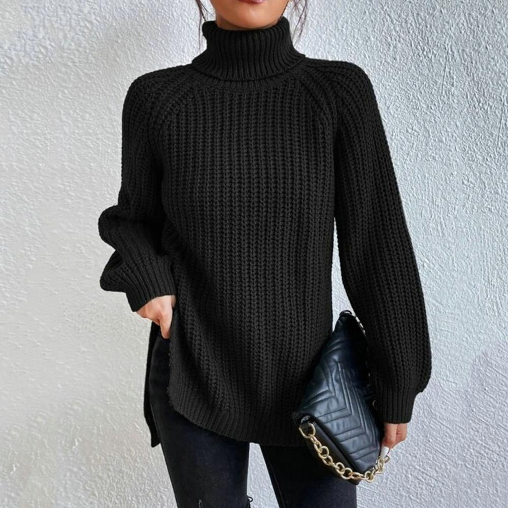 Elina™ | Elegant Roll Neck &amp; Knitted Sweater 