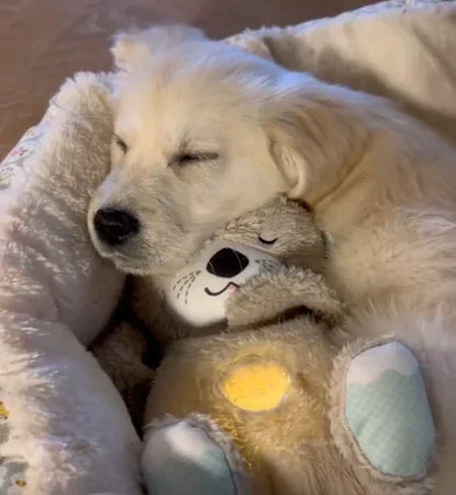 SereniOtter™ - Calming Dog Cuddly Toy for Stress-Free Relaxation