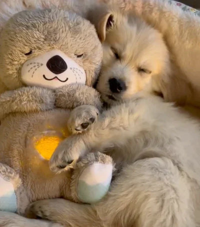 SereniOtter™ - Calming Dog Cuddly Toy for Stress-Free Relaxation