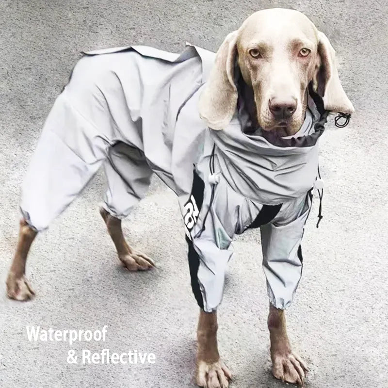 Reflect RainyRover™ | Reflecterende Regenjas voor Honden