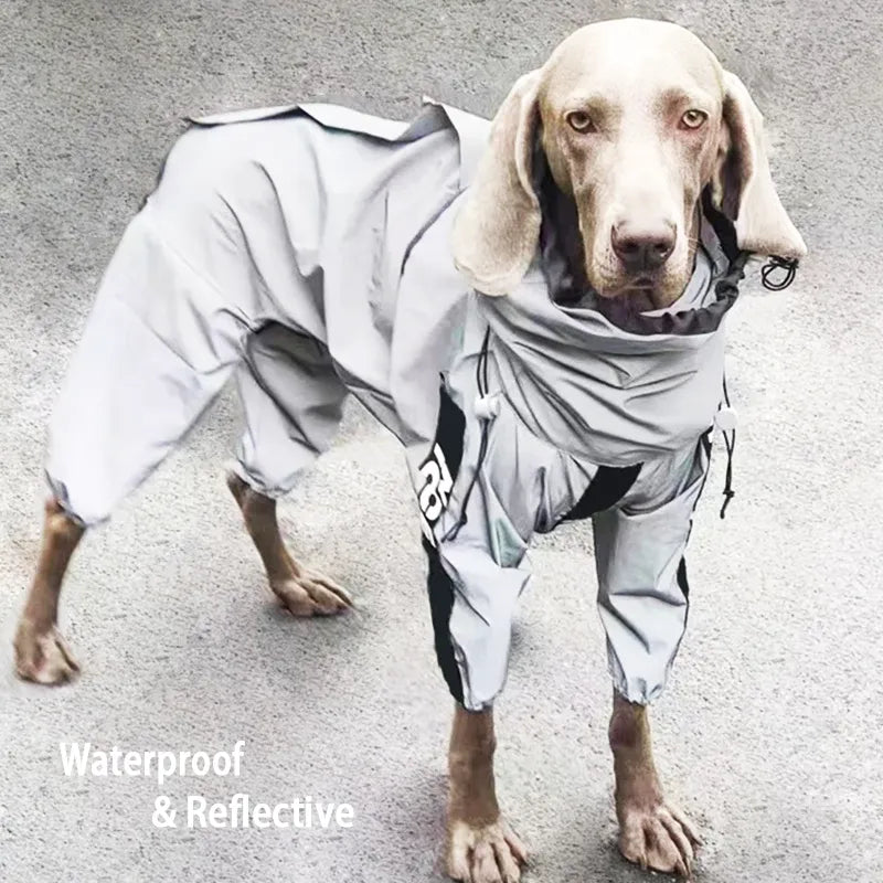 Reflect RainyRover™ | Reflective Raincoat for Dogs 