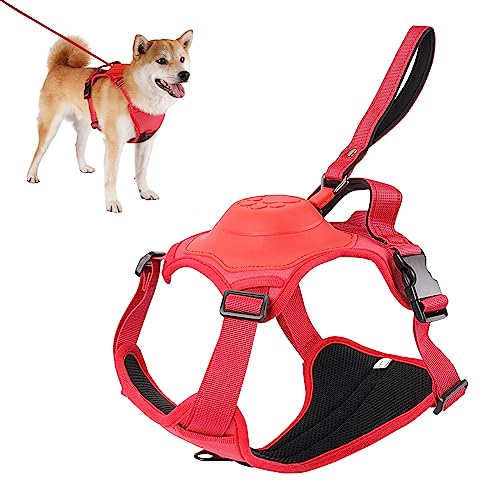 FlexiFit™ - Dog Harness &amp; Leash Set 