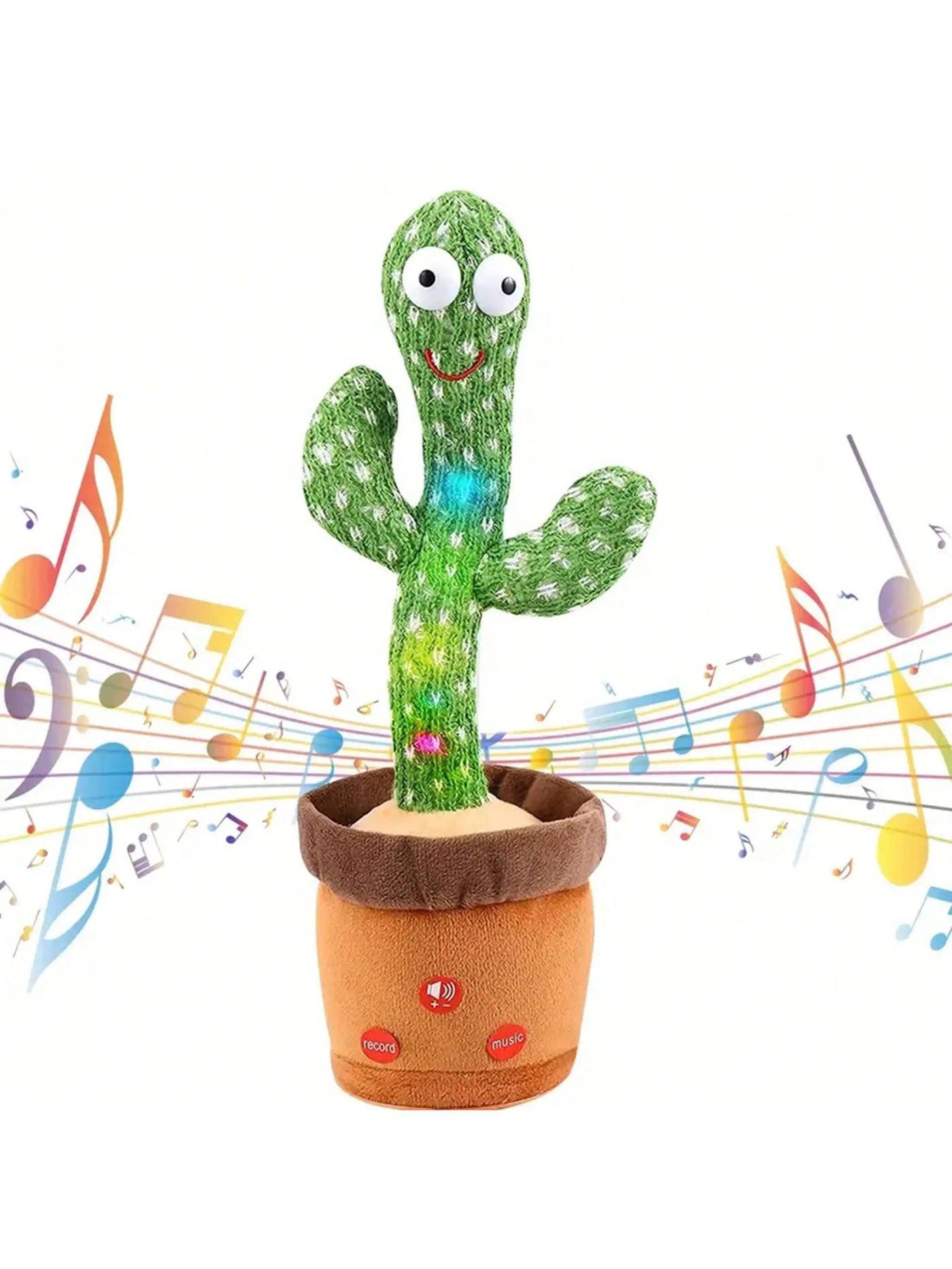 Kees | The little cactus friend 