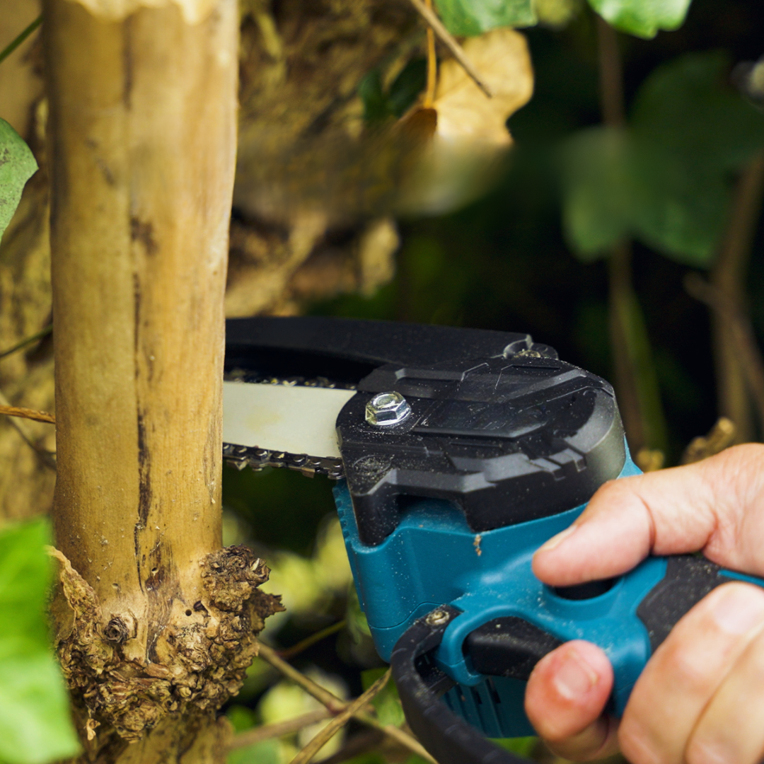 EasyReach Cordless Chainsaw (Today with free battery)