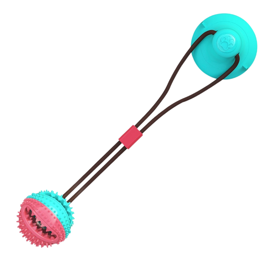 BiteBuddy™ | Fun and cleaning in one suction cup!