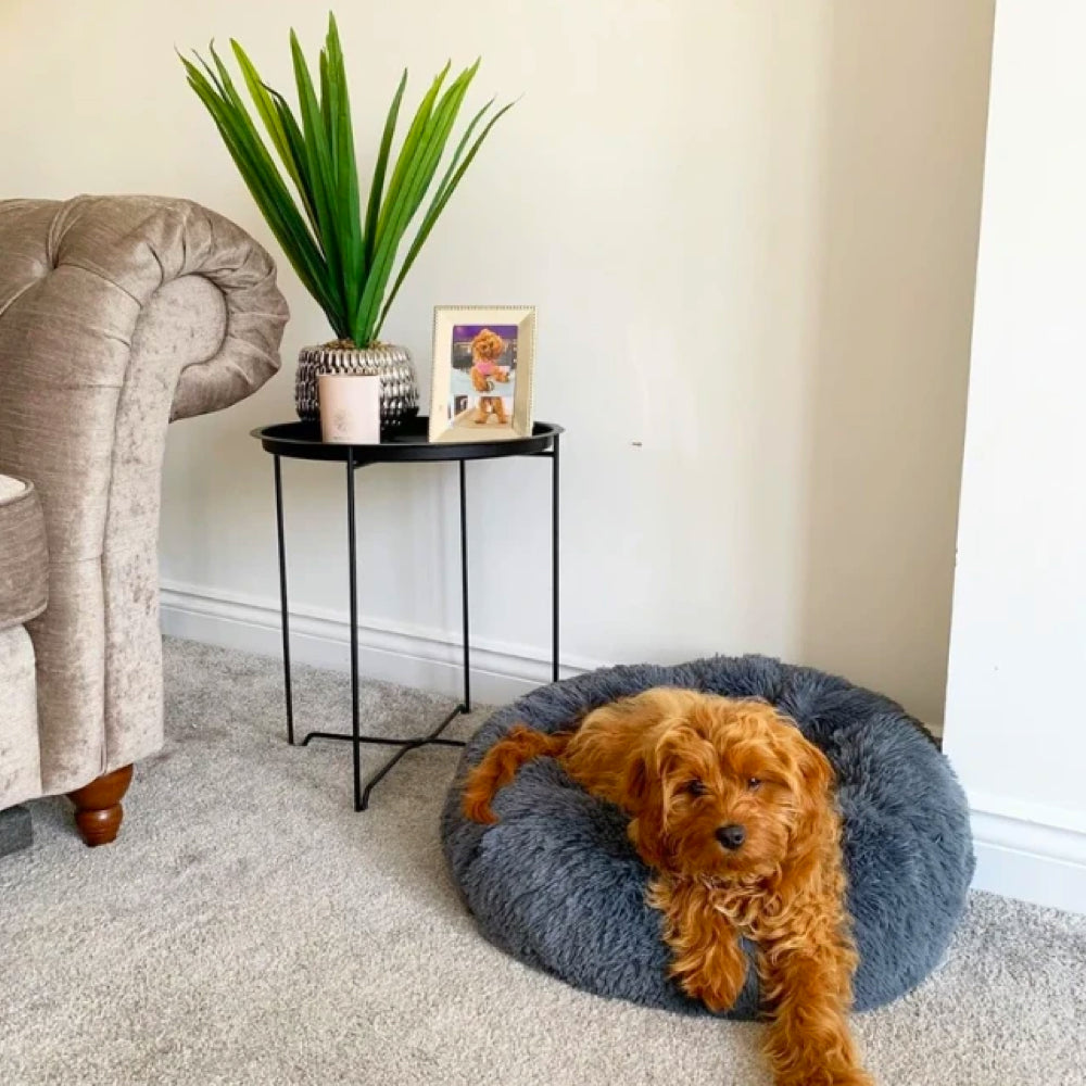 Donut Shaped Pet Bed | Breathable Plush Cotton