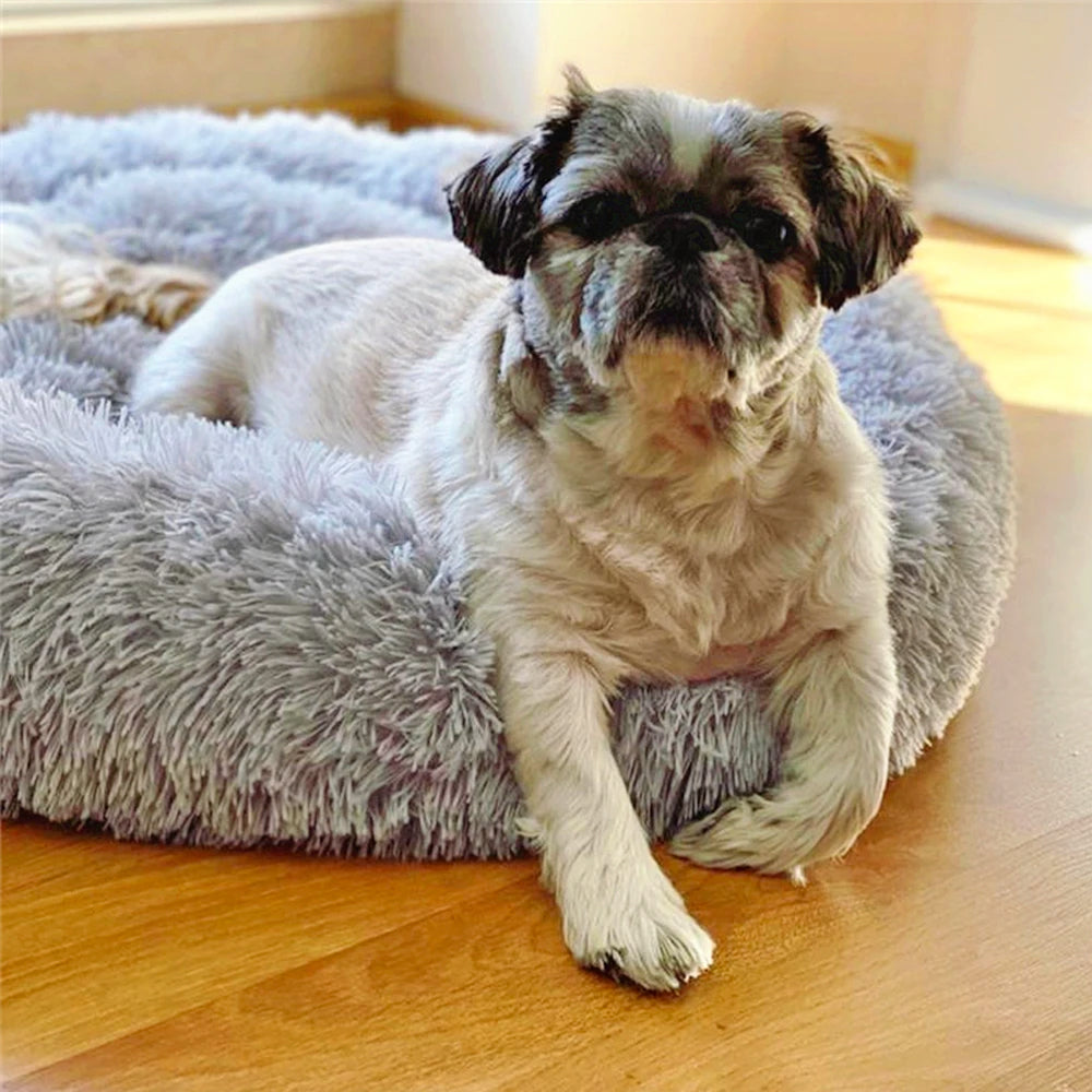 Donut Shaped Pet Bed | Breathable Plush Cotton