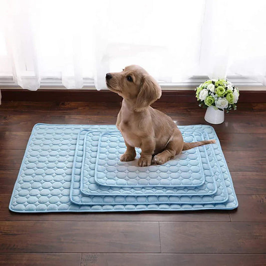 CoolPetMat™ – Kühlmatte für Haustiere