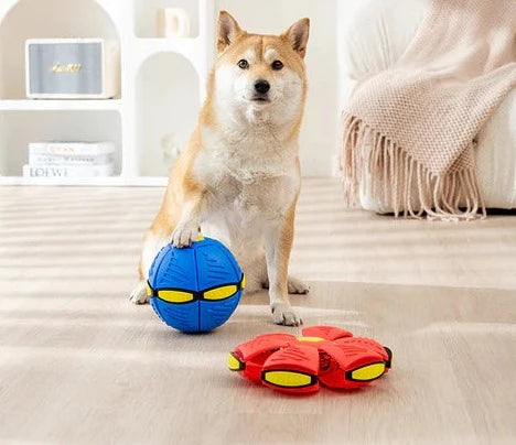 FetchFlyer™ | Interaktiver Hunde-Frisbee-Ball | 1 +1 KOSTENLOS 