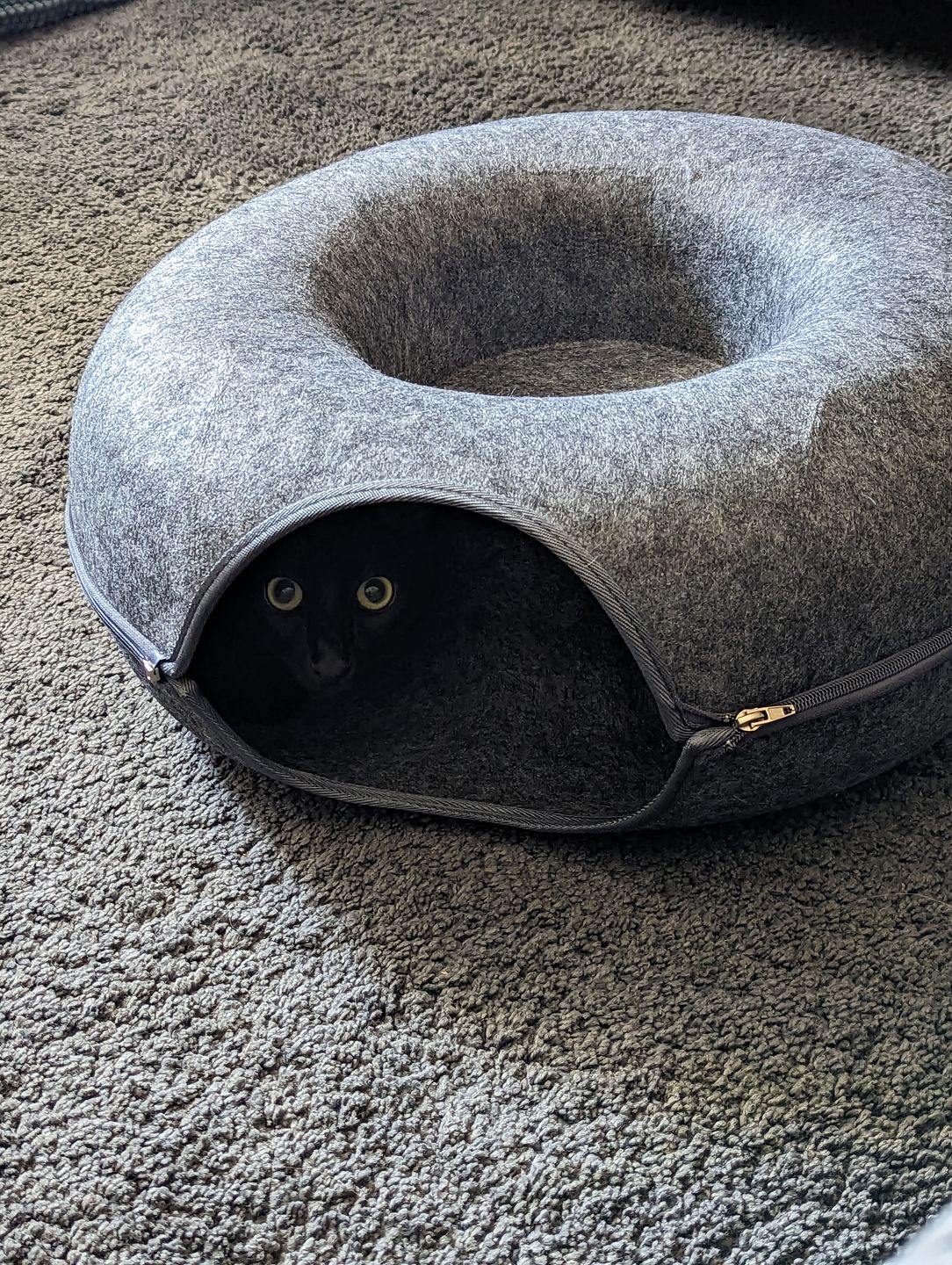 KittyCave™ | Paradise Cat Tunnel Bed