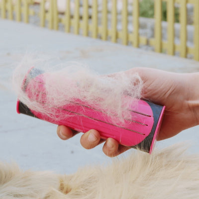 Petshare™ - Dog Brush 