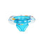 Swim Ring