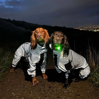 Reflect RainyRover™ | Reflective Raincoat for Dogs 