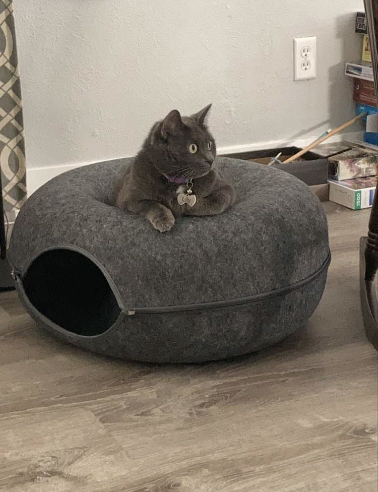 KittyCave™ | Paradise Cat Tunnel Bed