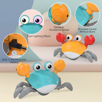 Adventurous Climbing Crab Friend - Interactive Toy