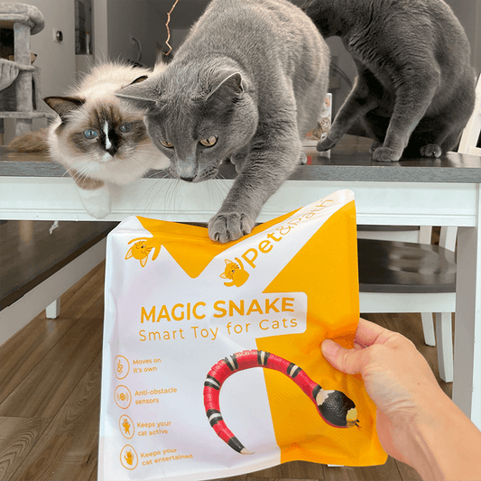 Magische Schlange | Interaktives Spielzeug für Haustiere 